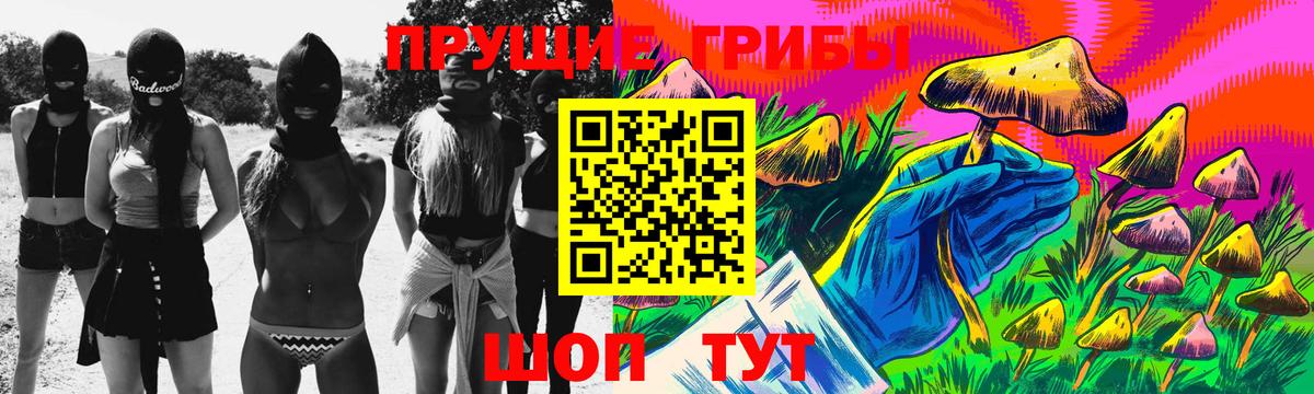 Псилоцибиновые грибы прущие грибы  Вход с VPN  Шатура 