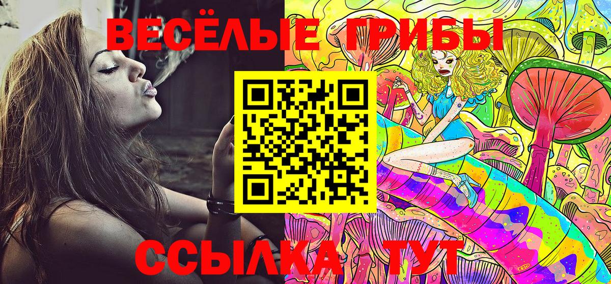 Галлюциногенные грибы мицелий Шатура